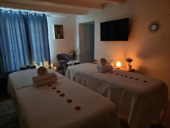 Majord'Home Spa 4*-L'Elegance-Balneo Vieille Ville Annecy Ngoại thất bức ảnh